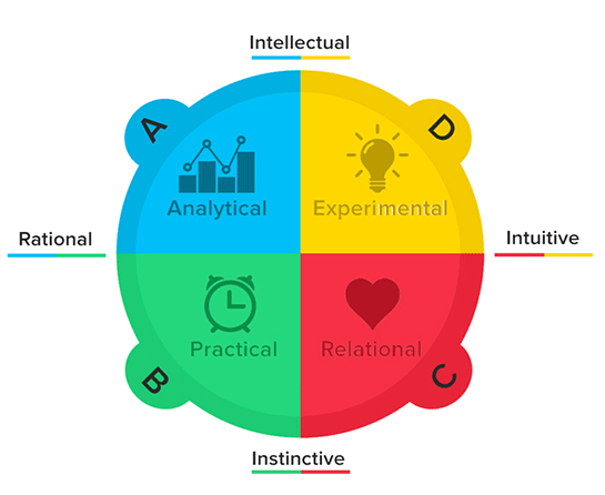 Whole Brain Thinking from Herrmann International