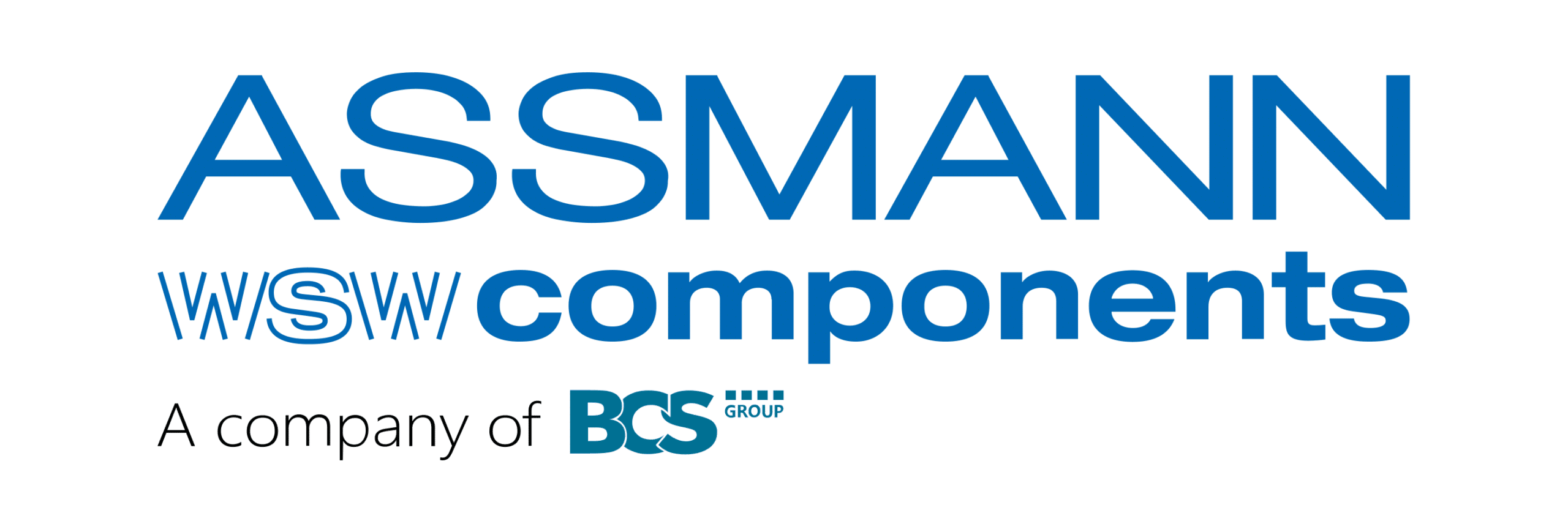 Bernd Weidenhammer, CEO of ASSMANN WSW components GmbH